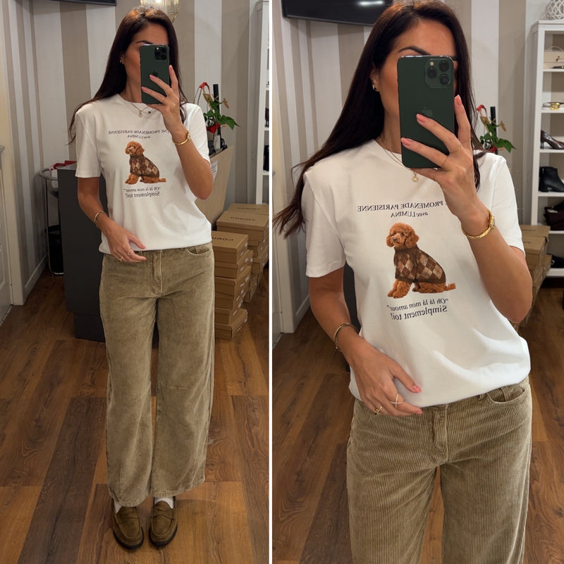 tshirt cane - barboncino